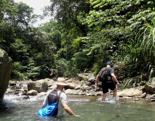 River tracing photo 2