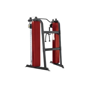 Steelflex CLDCC Fusion Trainer