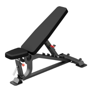 Insight Fitness DH029 Flat | Incline | Decline Bench