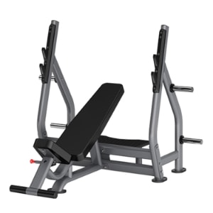 Insight Fitness Incline Olympic Bench