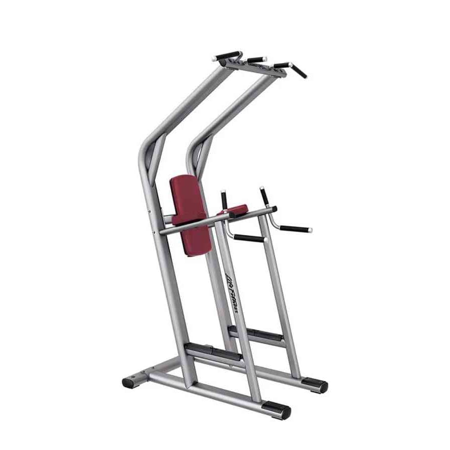 Life Fitness Signature Chin Dip Leg Raise, Platinum - Cranberry