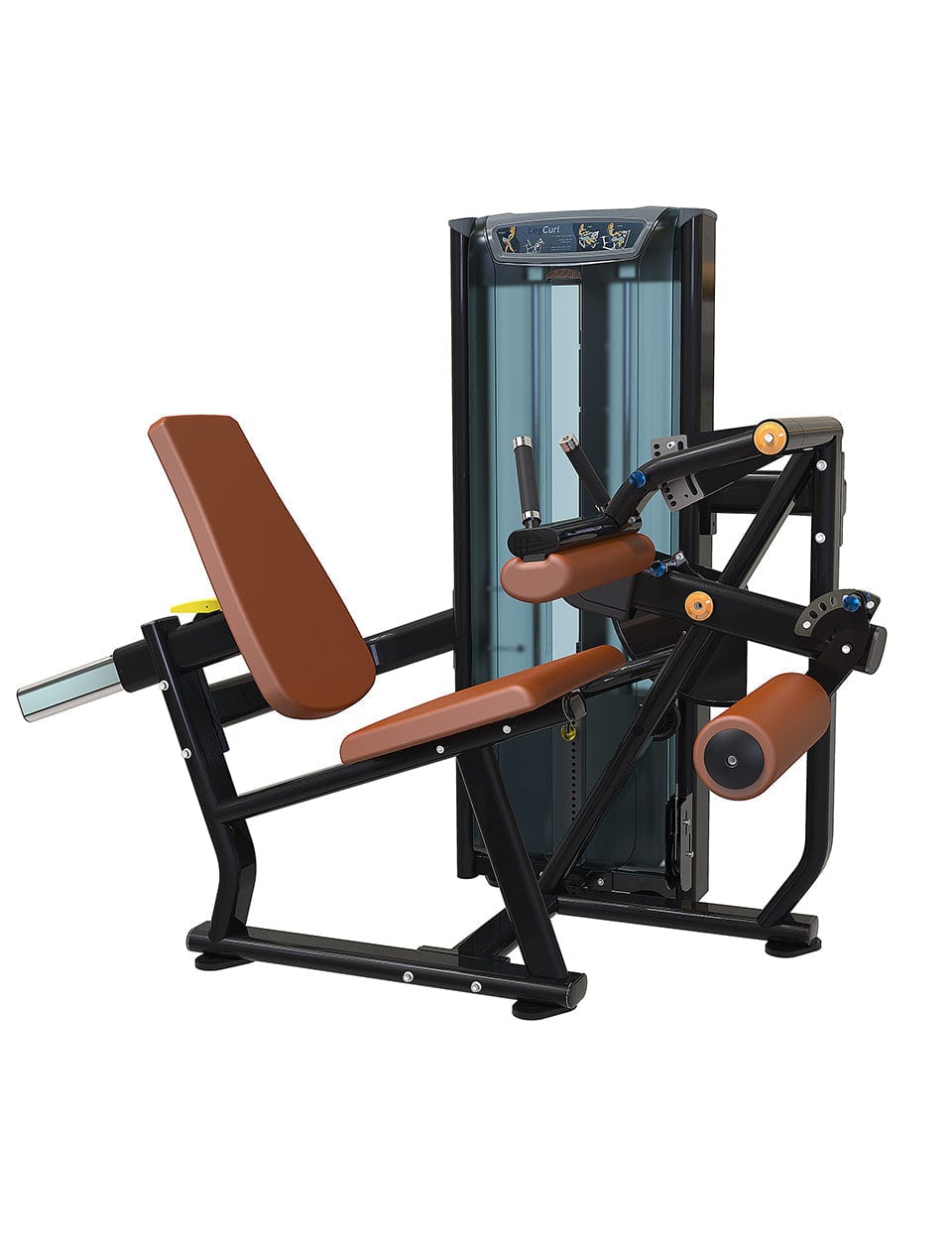 1441 Fitness Seated Leg Curl - 41FA503