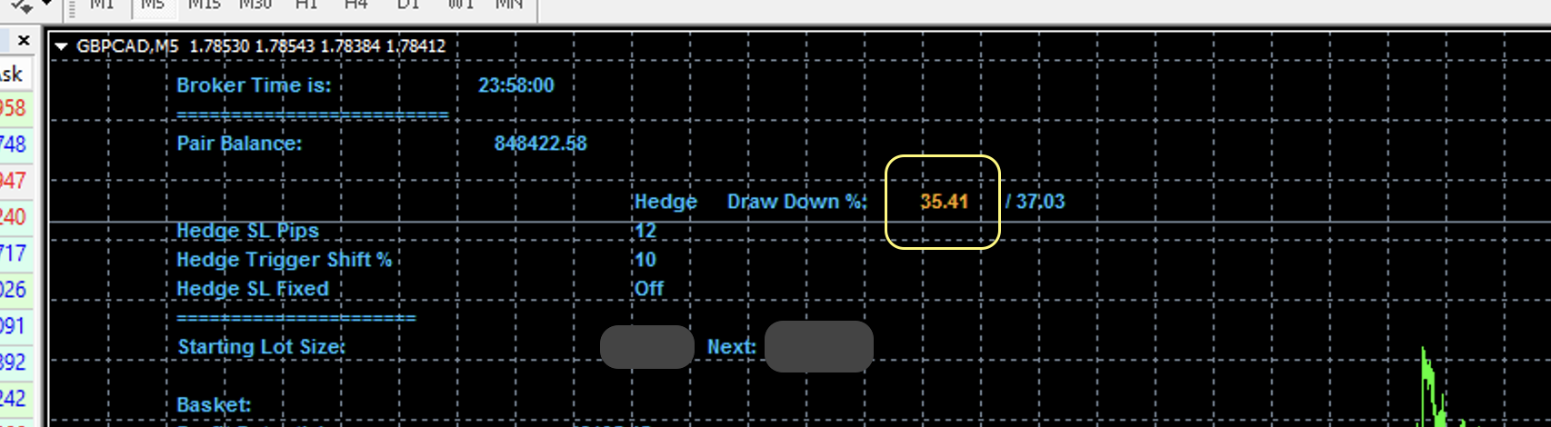 Currency pair hedge draw-down %