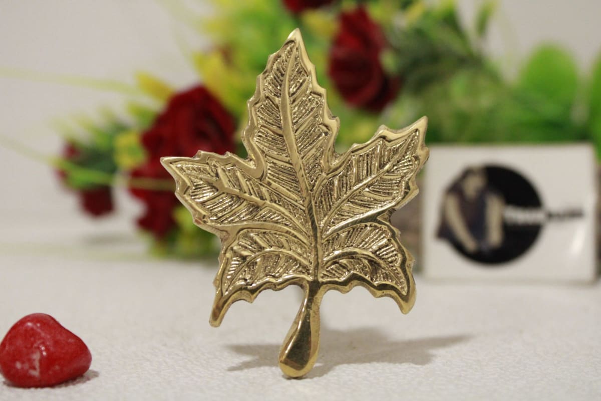 Brass Knob In Leaf Shape