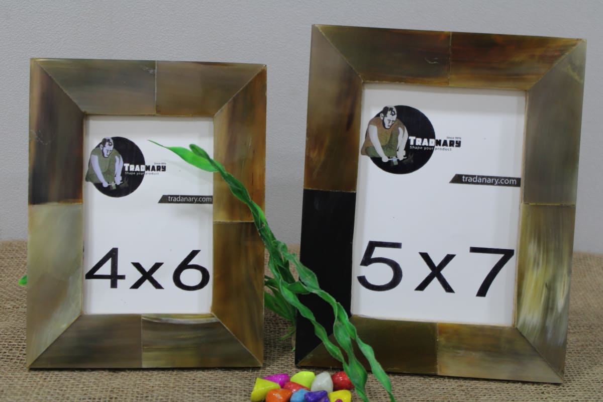 Horn Picture Frame — Horn