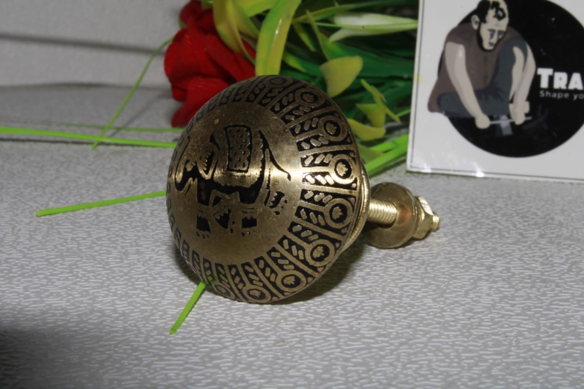 Elephant Brass knob — Brass