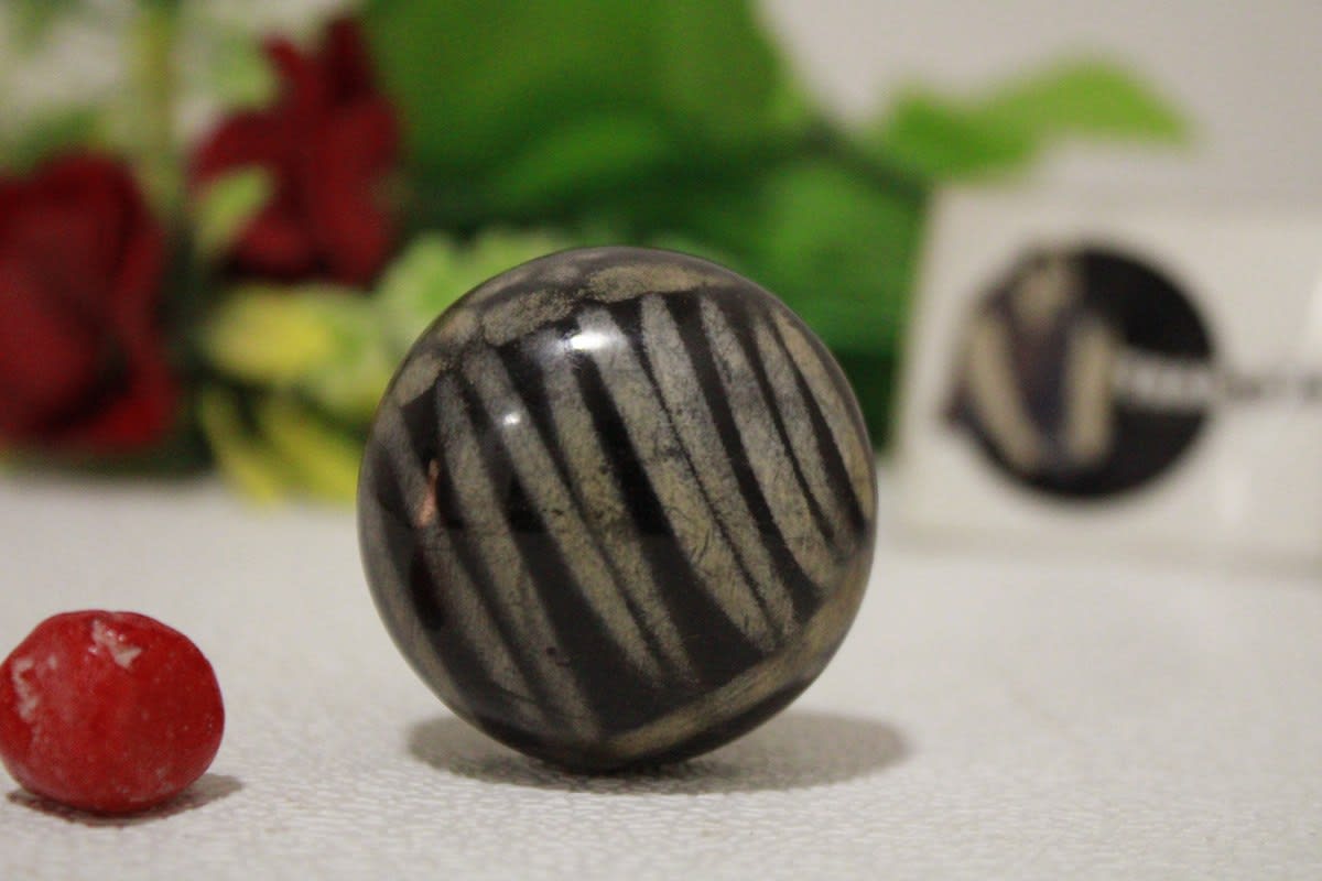 Black Horn Knob With Whitish Line — Horn