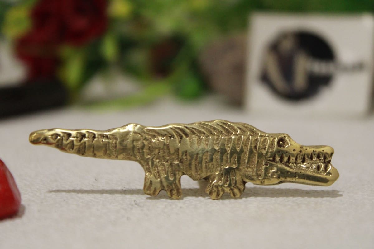 Brass Knob In Crocodile Shape — Brass