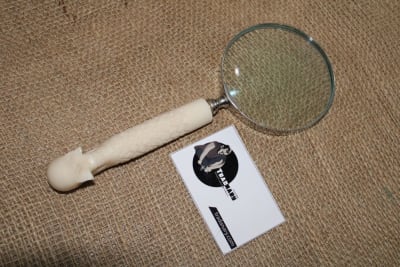 Skull Shape Magnifying Glass thumbnail 2