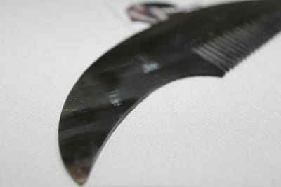 Black Horn Comb thumbnail 4