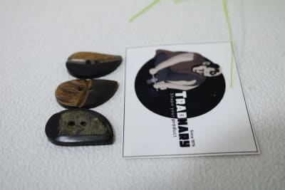 Buffalo HOrn Button thumbnail 2