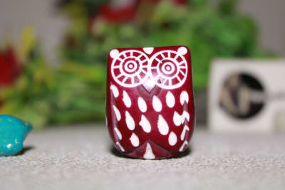 Printed Owl Red Resin Knob thumbnail 2