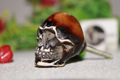 Skull Design Brown Resin Knob thumbnail 1