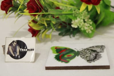 Square Coaster In Printed Green Wing butterfly with Enamel Paint thumbnail 3