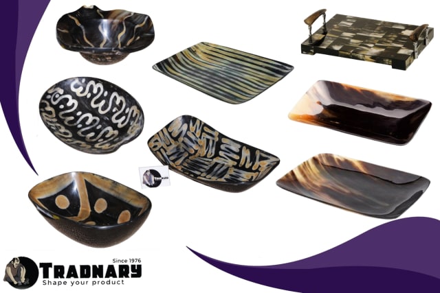 Horn Tray products from an Indian handicraft manufacturer