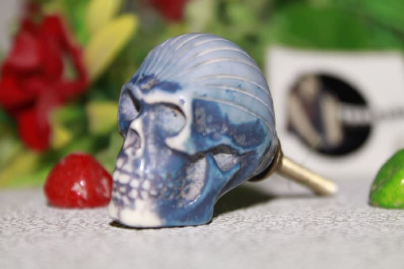 Skull Design Resin Knob — Resin