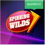 AHTI Games spinning wilds