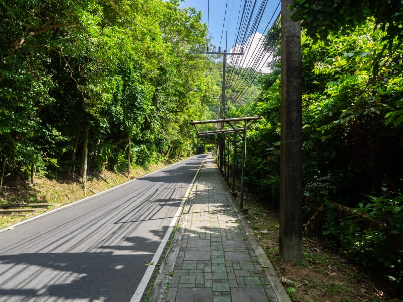 Monkey Hillで猿の写真を撮ったらめちゃくちゃ可愛かった(写真多め)