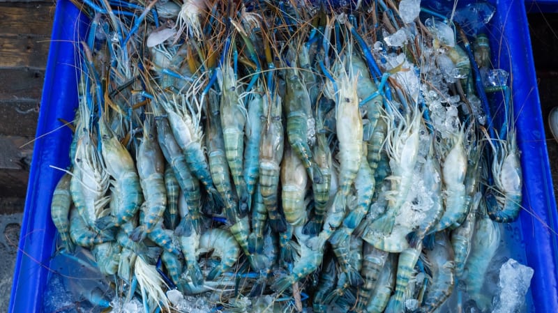 チェンマイ市内のPingRiver付近にあるローカルマーケットでシーフードを大量に購入してきた