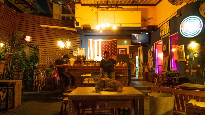 オーナーの事が大好きな猫がいる「Manung Bar」