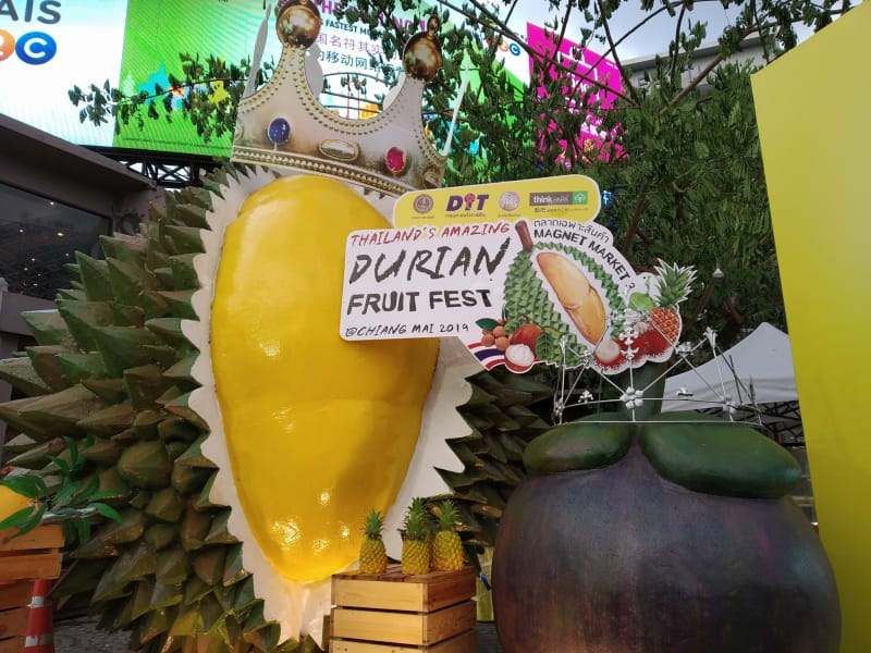 Durian & Fruit Festivai 2019 at Chiang Maiの情報