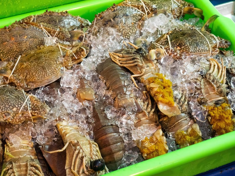 今日から2019年の旧正月です