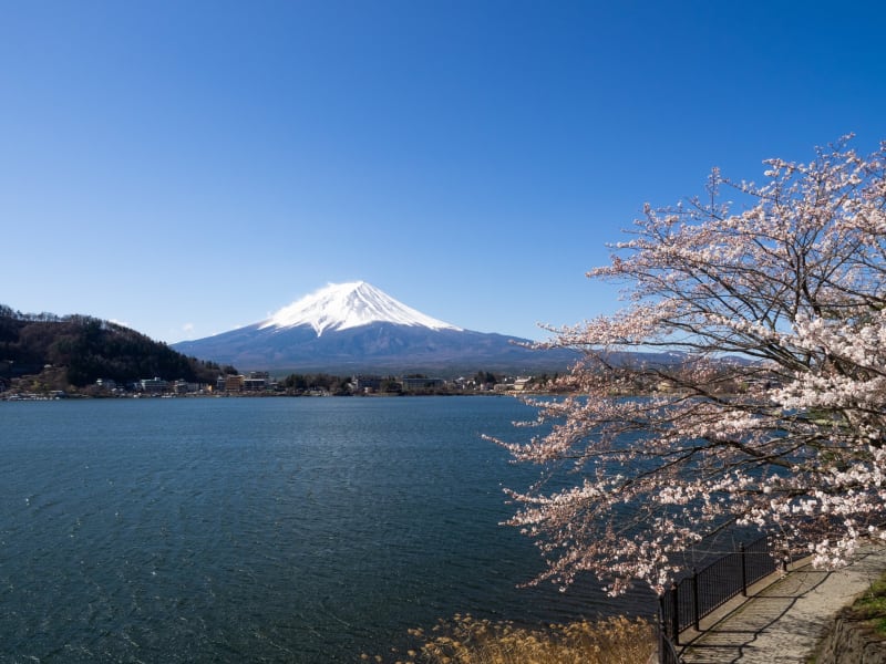 久しぶりに国内旅行!湖山亭うぶやに泊まって富士山を観てきました