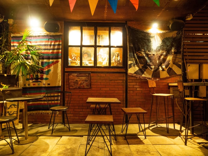 オーナーの事が大好きな猫がいる「Manung Bar」