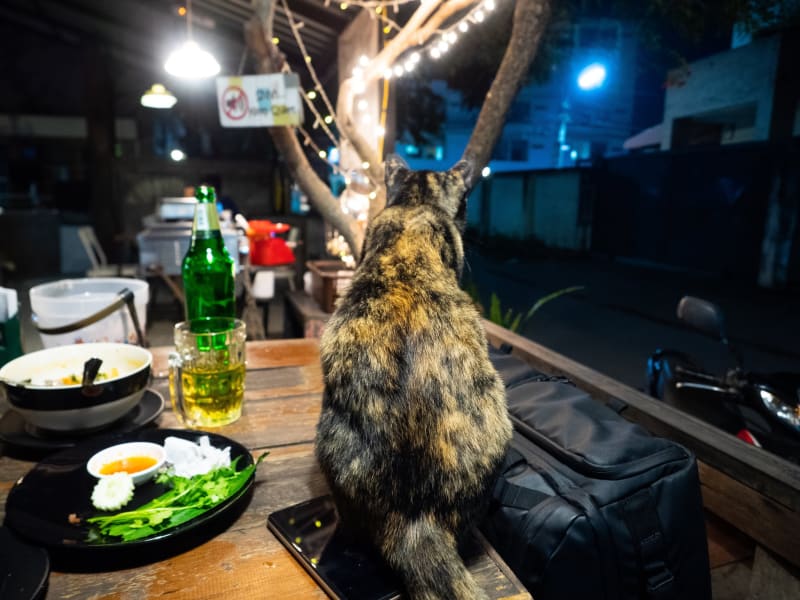 チェンマイの観光客が来ないであろう場所のローカル飲み屋「Maa in Soi」