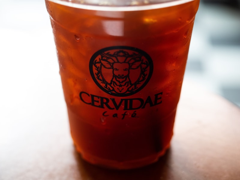 魔法学校のような店内のカフェ「Cervidae cafe」