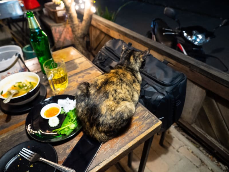チェンマイの観光客が来ないであろう場所のローカル飲み屋「Maa in Soi」