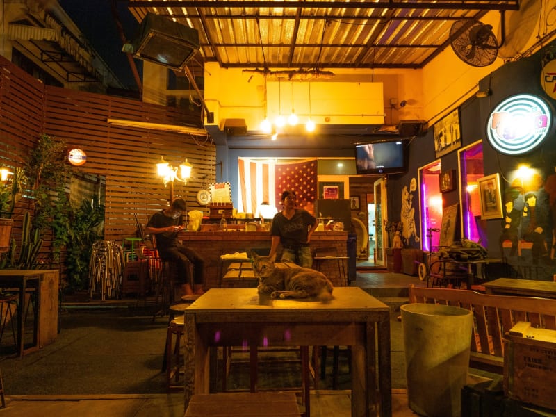 オーナーの事が大好きな猫がいる「Manung Bar」