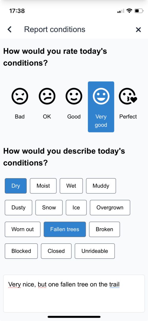 Write a condition report