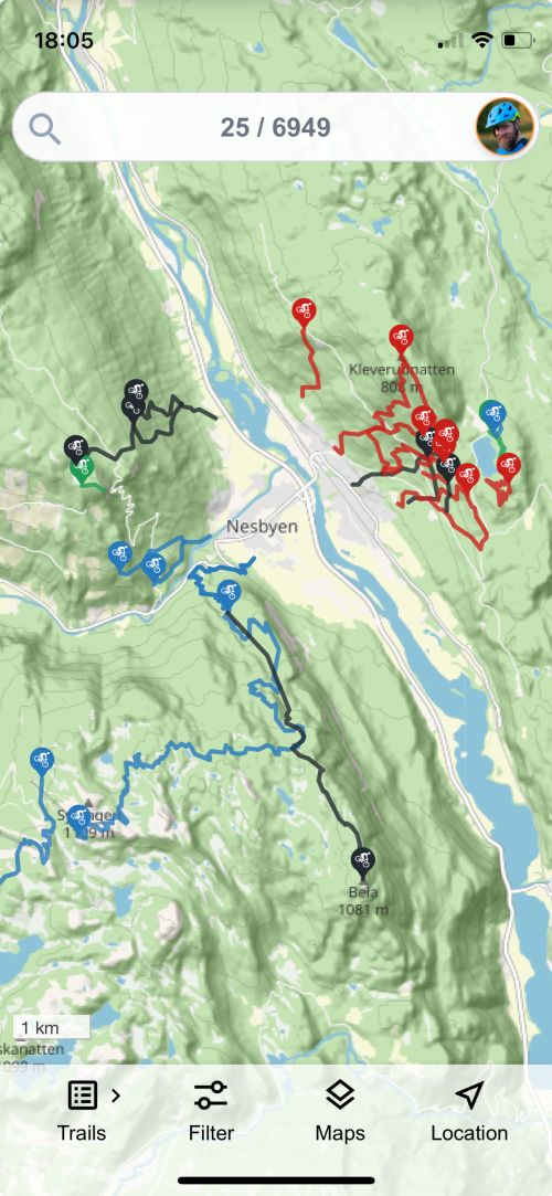 Map of Nesbyen