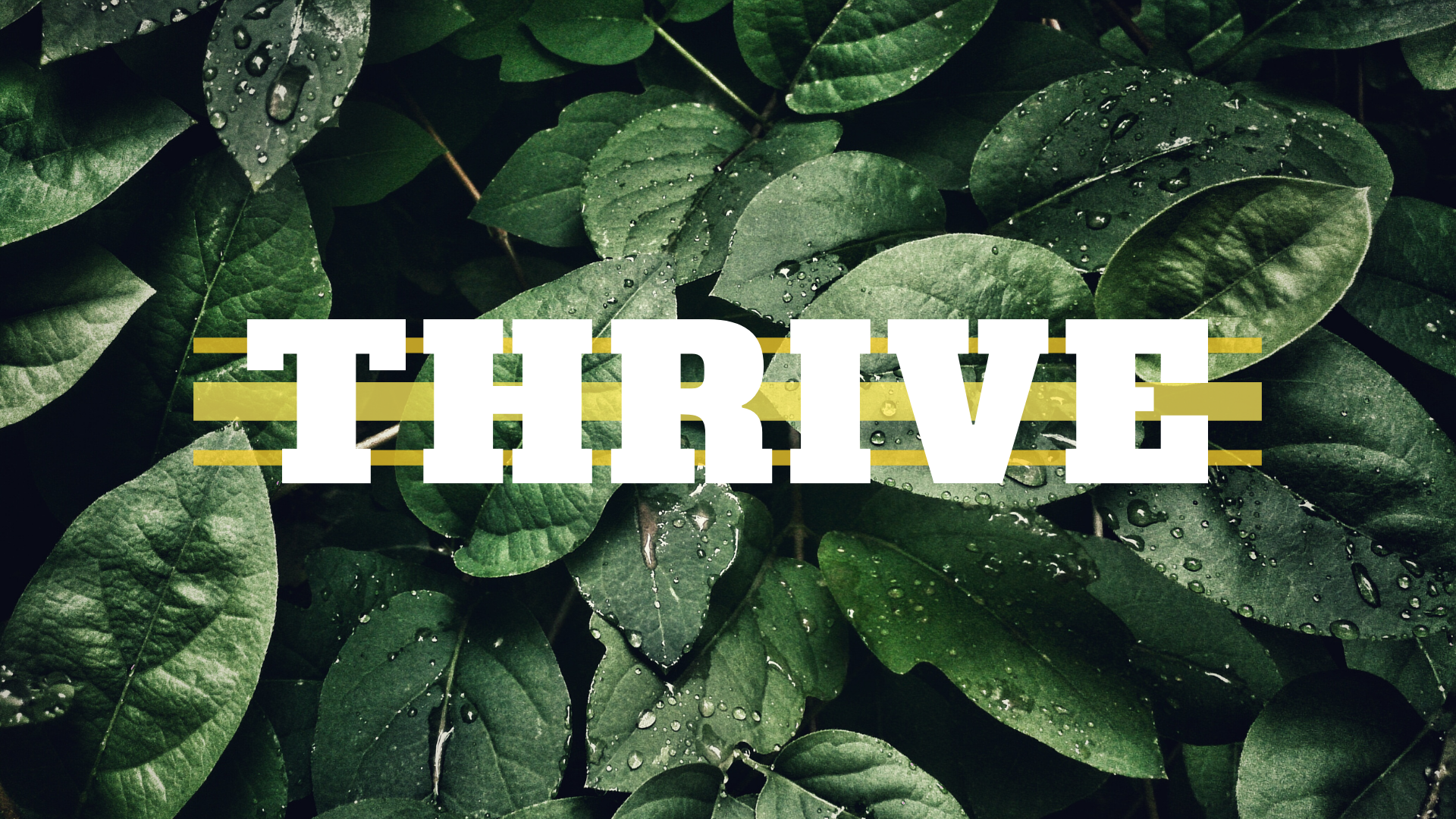 Thrive