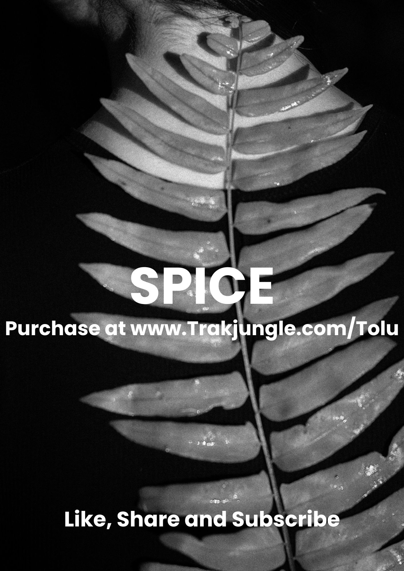 Spice{Rema X Oxlade X Victony Type Beat}