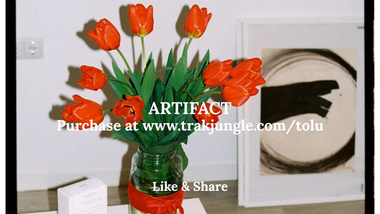 Artifact (Victony X Omah Lay Type Beat)