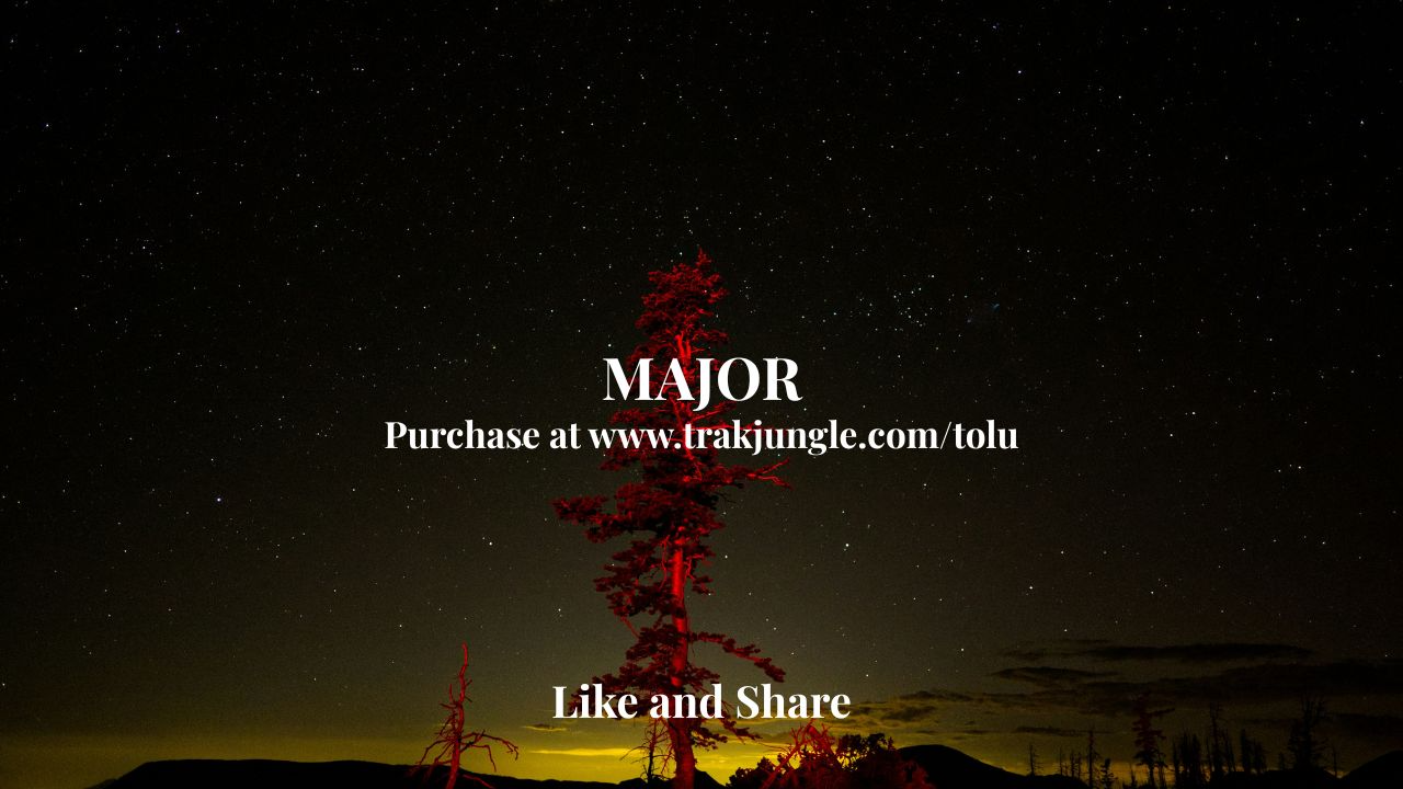 Major (Burna Boy X Wizkid Type Beat)