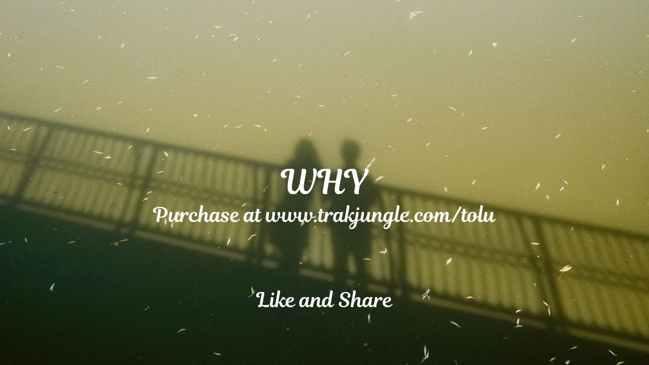 Why {Burna Boy X Wizkid Type Beat}