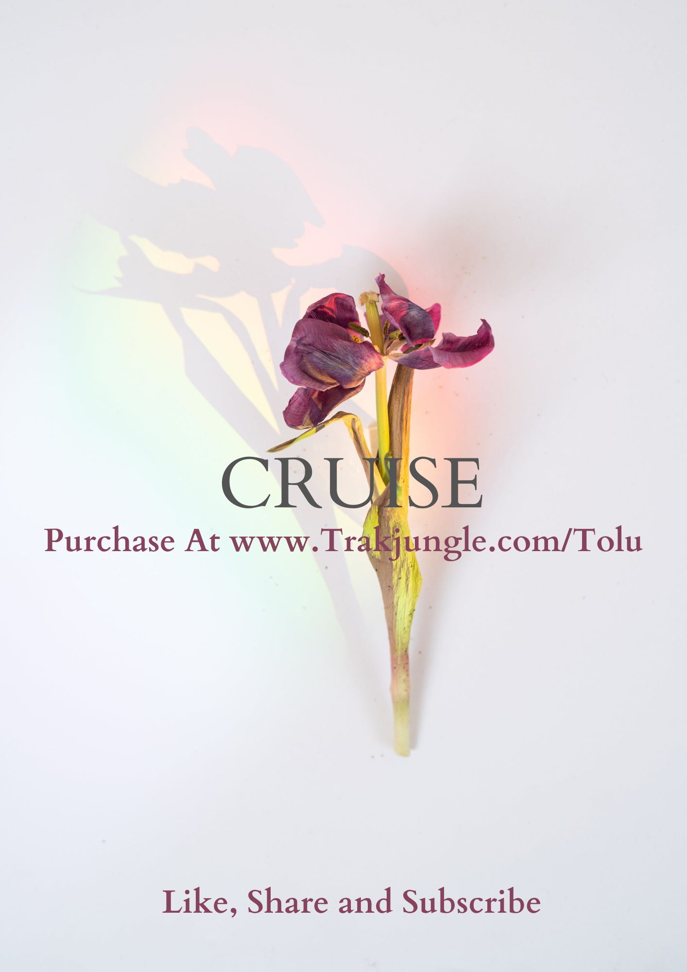 Cruise {Wizkid X Rema Type Beat}