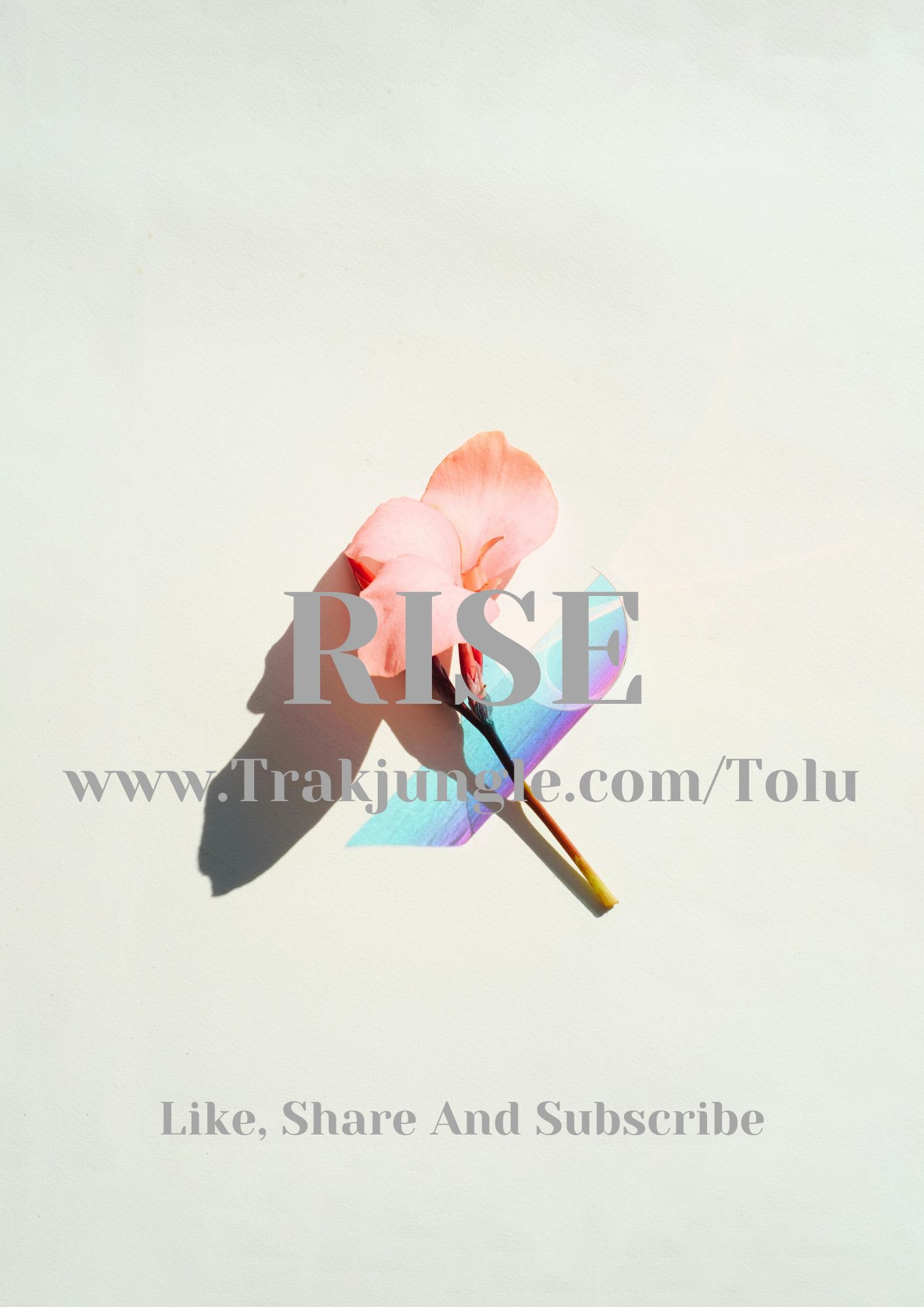 Rise {Burna Boy X Omah Lay Type Beat}