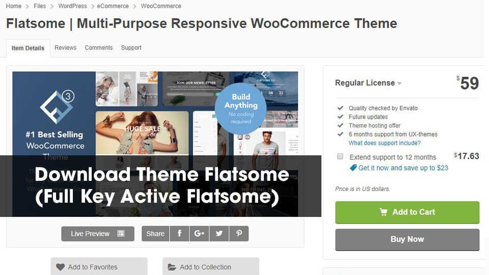 Download Theme Flatsome (Full Key Active Flatsome)