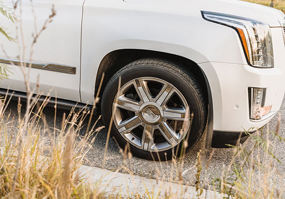 private-transportation-in-cabo