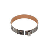4T65E 2-1 Coast Band