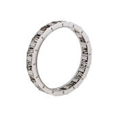 Sprag  TH250 LowReverse 16 Rollers 69-95