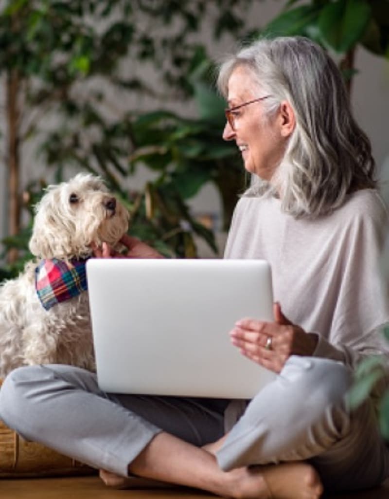 Senior woman researching Medicare supplement plans on laptop with her dog.