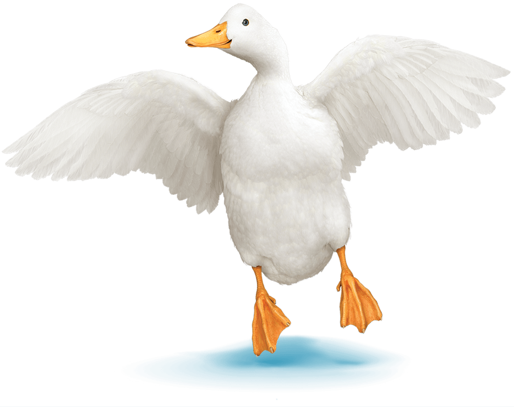 The Aflac Duck