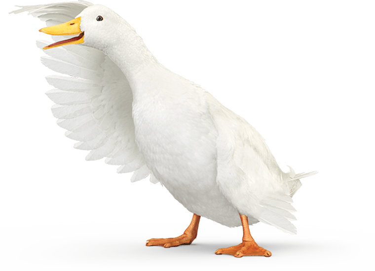 Can you have aflac with medicare clearance