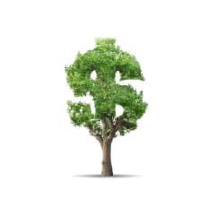 Tree cut into the shape of the dollar symbol