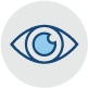 Vision icon